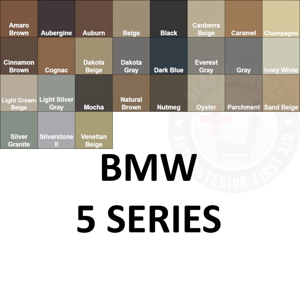 BMW 5 Series Leather Dye