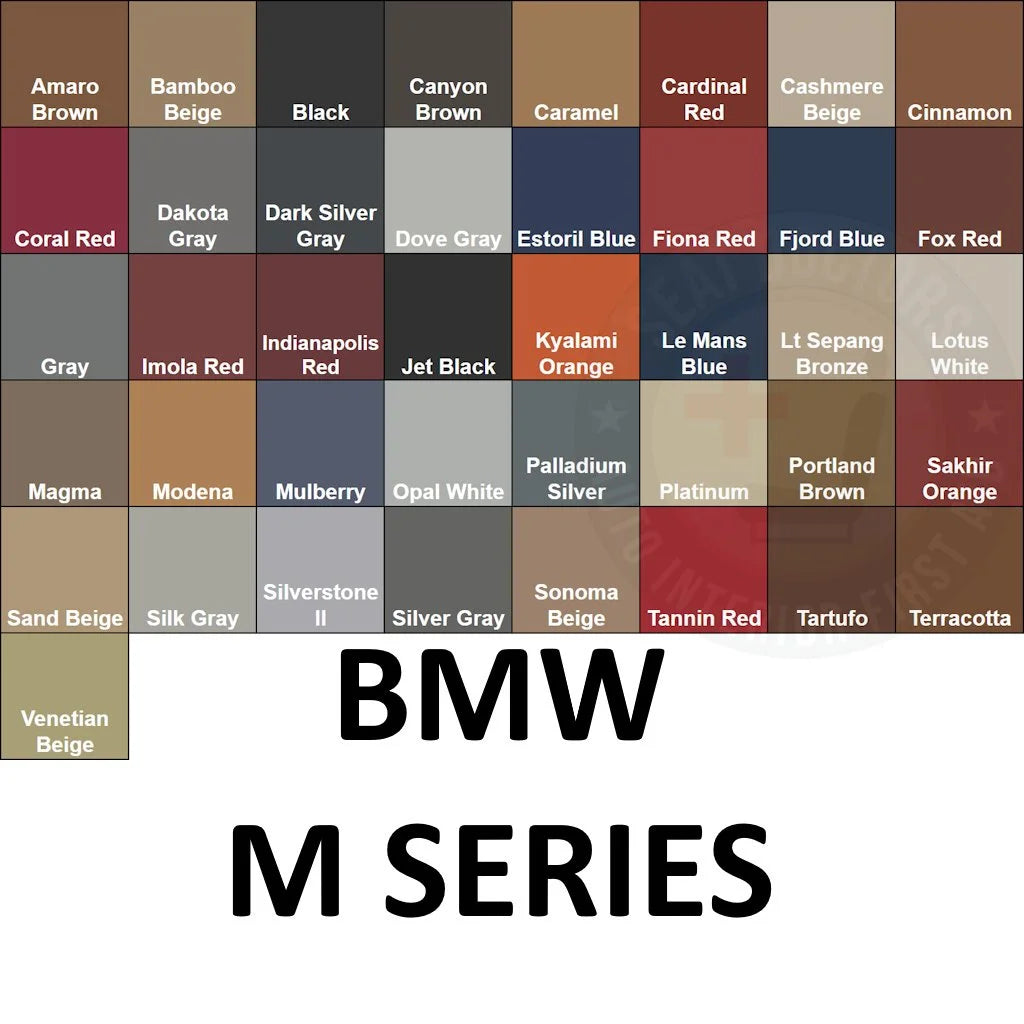 BMW M Series Leather Dye