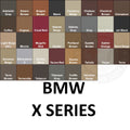BMW X Series Leather Dye