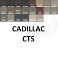 Cadillac CTS Leather Dye