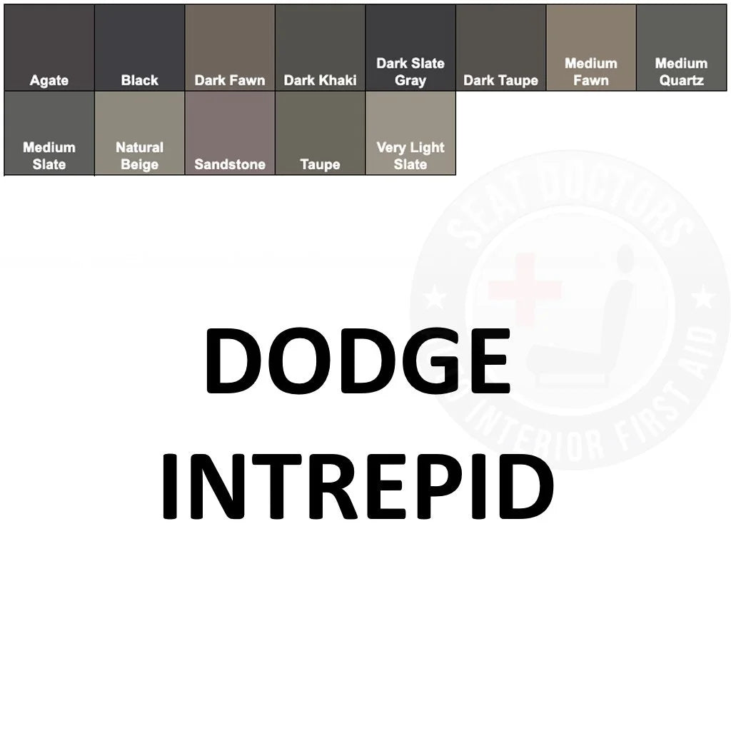 Dodge Intrepid Leather Dye
