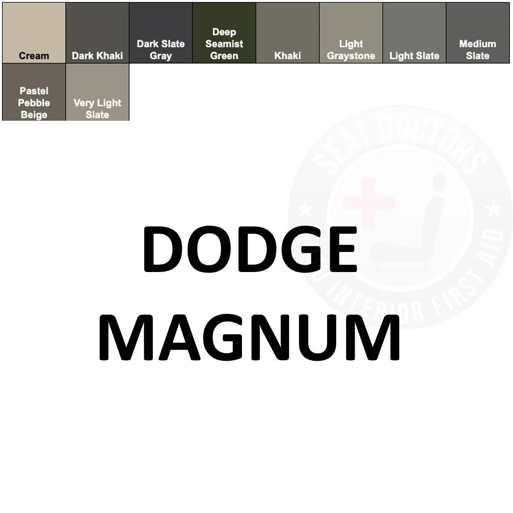 Dodge Magnum Leather Dye