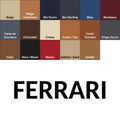 Ferrari Leather Dye