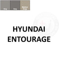 Hyundai Entourage Leather Dye