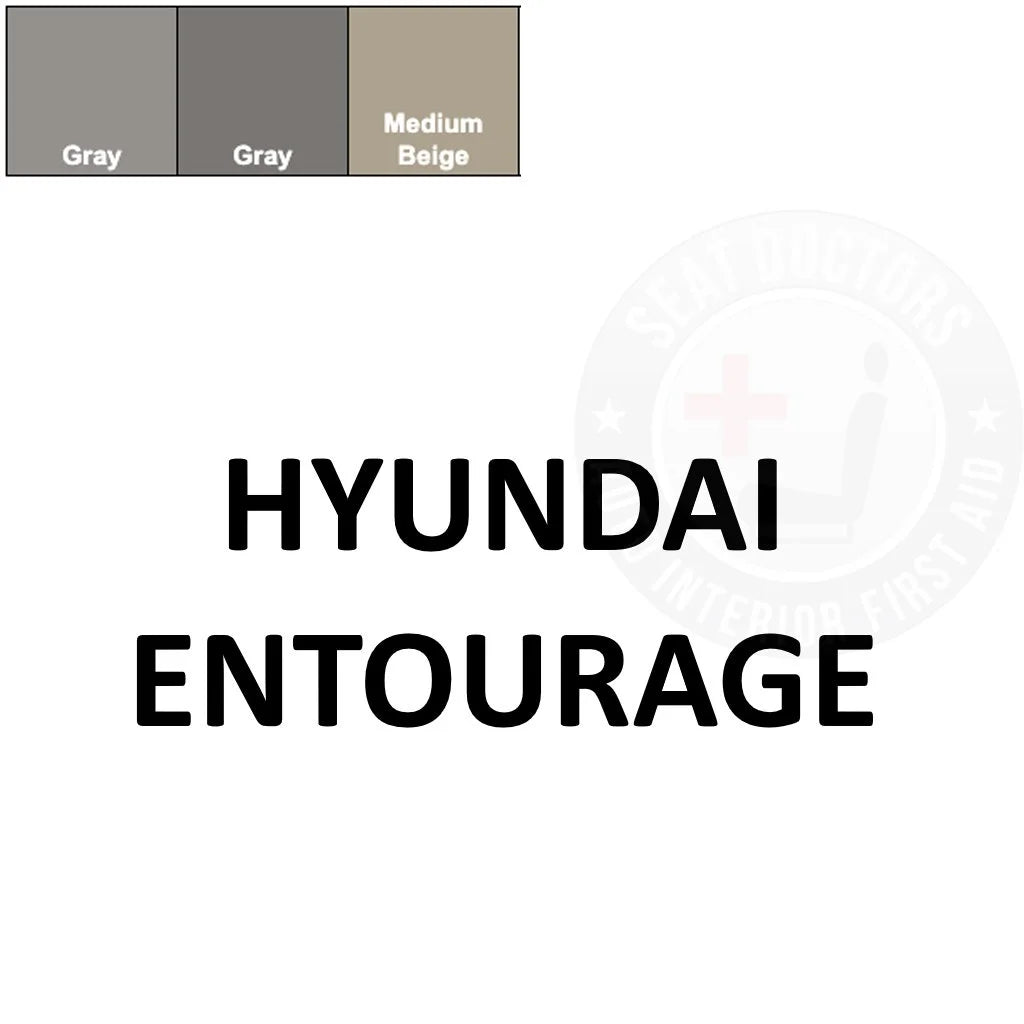 Hyundai Entourage Leather Dye