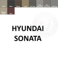 Hyundai Sonata Leather Dye