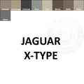 Jaguar X-Type Leather Dye