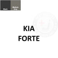Kia Forte Leather Dye