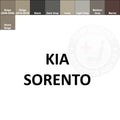 Kia Sorento Leather Dye