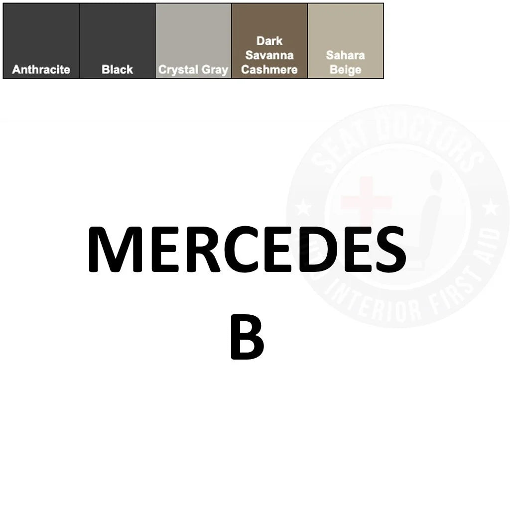 Mercedes Benz B Leather Dye