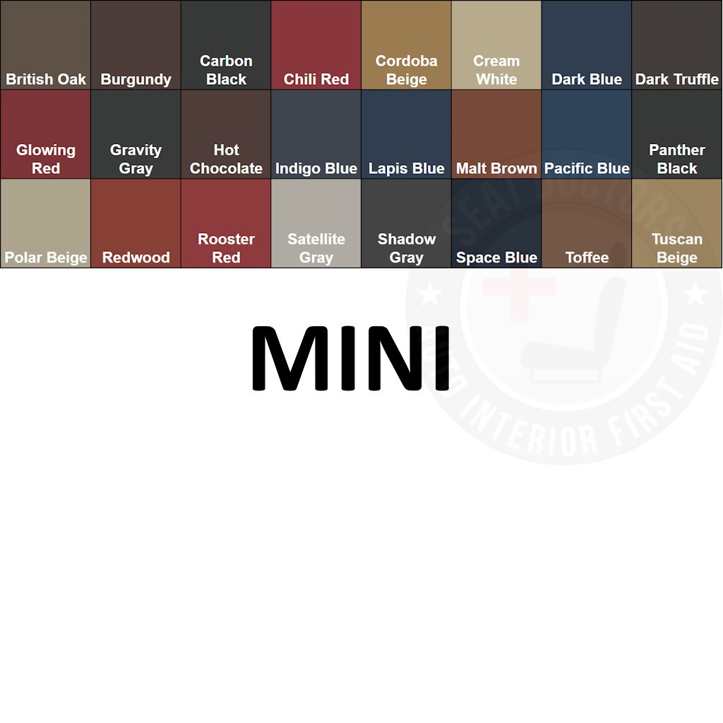 MINI Cooper Leather Dye