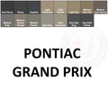 Pontiac Grand Prix Leather Dye