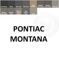 Pontiac Montana Leather Dye