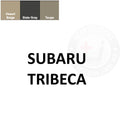 Subaru Tribeca Leather Dye